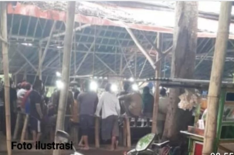 Grobogan Jateng, Judi Sabung Ayam Meresahkan, Polres Grobogan Terkesan Tutup Mata?